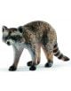 Фигурка Schleich: Енот - Schleich - Schleich - Момиче, Момче - Schleich - Wild life - 4055744029691-thumb