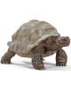 Фигурка Schleich: Гигантска костенурка - Schleich - Schleich - Момиче, Момче - 4055744033667-thumb