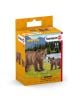 Комплект Schleich: Мечка гризли с малко - Schleich - Schleich - Момиче, Момче - 4059433572369-4-thumb