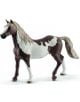 Фигурка Schleich: Петнист кон, кастриран - Schleich - Schleich - Момиче, Момче - Schleich - Horse Club - 4059433025643-thumb