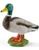 Фигурка Schleich: Паток - Schleich - Schleich - Момиче, Момче - Schleich - Farm world - 4059433025544-thumb