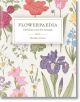 Flowerpaedia: 1000 Flowers and Their Meanings - Cheralyn Darcey - Жена, Мъж - Rockpool Publishing - 9781925429466-1-thumb