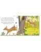 Tales of the Woodland - Catherine Veitch - Miles Kelly Publishing - 9781789892437-3-thumb