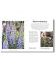 RHS How to Garden New Edition - DK - Жена, Мъж - DK Publishing - 9780241459768-6-thumb