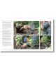 RHS How to Garden New Edition - DK - Жена, Мъж - DK Publishing - 9780241459768-7-thumb