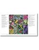 RHS How to Garden New Edition - DK - Жена, Мъж - DK Publishing - 9780241459768-8-thumb