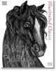 Illustrated Classics: Black Beauty - Anna Sewell - Miles Kelly Publishing - 9781786174390-thumb