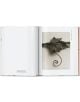 Karl Bloosfeldt: The Complete Publushed Work, 40th Edition - Hans Christian Adam - Жена, Мъж - TASCHEN - 9783836598514-6-thumb