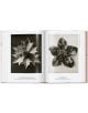 Karl Bloosfeldt: The Complete Publushed Work, 40th Edition - Hans Christian Adam - Жена, Мъж - TASCHEN - 9783836598514-9-thumb