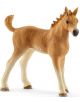 Комплект Schleich: Грижа за коне на Сара - Schleich - Schleich - Момиче - Schleich - Horse Club - 4055744021824-3-thumb