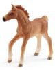 Комплект Schleich: Момиче и конче с одеяло - Schleich - Schleich - Момиче, Момче - Schleich - Horse Club - 4059433254715-2-thumb