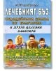 Лечебният бъз - чудодейната билка от България - Съни Ламброзо - Хомо Футурус - 9786192230098-thumb