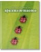 Малка книжка за приятелството - Simetro books - Малки книжки за големите неща в живота - 9789549407792-thumb