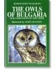 Owls Of Bulgaria: Our Companions In The Night - Константин Няголов - Борина - 9545001038-thumb