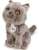 Плюшена играчка B.T. Chaps - Freddy the British Shorthair в подаръчна кутия 17 см. - B.T. Chaps - Bon Ton Toys - 8719066014983-2-thumb