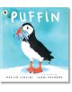 Puffin - Martin Jenkins - Walker Books - 5655 - 9781529513639-1-thumb