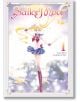 Sailor Moon Naoko Takeuchi Collection, Vol. 1-thumb