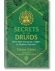 Secrets of the Druids: From Indo-European Origins to Modern Practices - Teresa Cross - Inner Traditions - 9781644111284-thumb