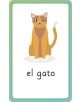 Spanish for Everyone Junior First Words Flash Card - DK - Момиче, Момче - DK Publishing - 9780241601433-2-thumb