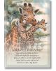 The Spirit of the Animals Oracle - Jody Bergsma - Жена - Inc., U.S. Games Systems - U.S. Games - 9781572817845-2-thumb