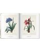 The Book of Flowers - H. Walter Lack - TASCHEN - 9783836568937-3-thumb