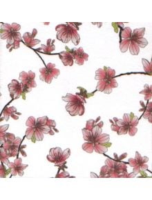 Картичка Japanese Cherry Blossom - Busquets - Busquets Gruart - 0402318293