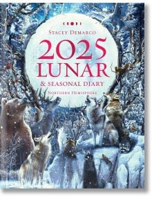 2025 Lunar and Seasonal Diary Northern Hemisphere - Stacey Demarco - Жена - Rockpool Publishing - 9781925946673