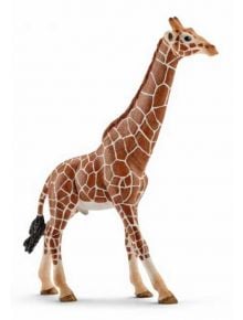 Фигурка Schleich: Жираф мрежест, мъжки - Schleich - Schleich - Момиче, Момче - Schleich - Wild life - 4005086147492