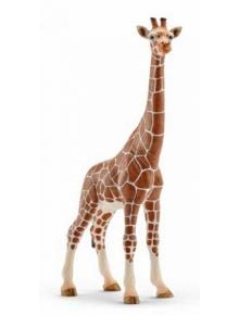 Фигурка Schleich: Жираф мрежест, женски - Schleich - Schleich - Момиче, Момче - Schleich - Wild life - 4005086147508