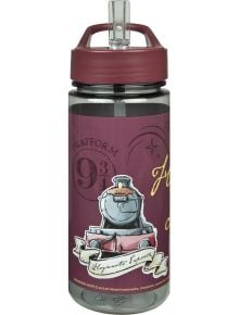 Пластмасова бутилка Harry Potter, 500 ml - 1123367 - 493210 - 1129388,1129390 - 5655 - Undercover - Harry Potter - 4043946306