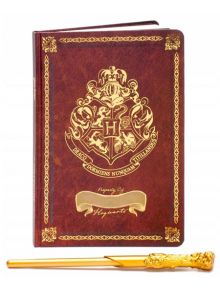 Комплект тефтер и химикалка Harry Potter - 1119269 - 1083410 - Blue Sky - Harry Potter - 5060718143357