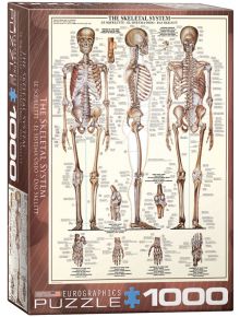 Пъзел Eurographics - Костна система, 1000 части - EuroGraphics - EuroGraphics - Жена, Мъж - Eurographics - Anatomy & Science Charts - 628136639705