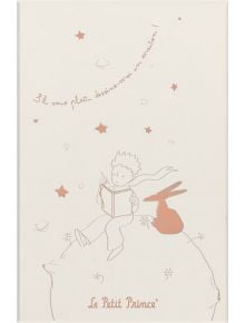 Тефтер и планер Moleskine Limited Edition Le Petit Prince 80th anniversary - 1119062 - 7398 - 1085518 - Moleskine - The Littl