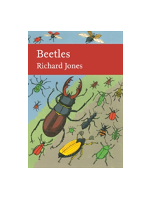 Beetles - 9780008149529