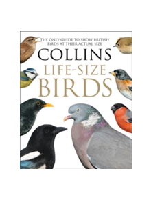 Collins Life-Size Birds - 9780008181116