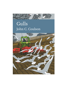 Gulls - 9780008201425