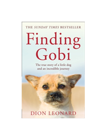 Finding Gobi (Main edition) - 9780008227968