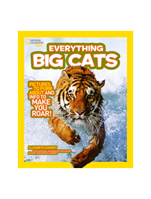 Everything: Big Cats - 7852 - 9780008267827