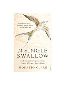 A Single Swallow - 9780099526315