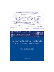 Renormalization Methods - 9780199236527