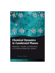 Chemical Dynamics in Condensed Phases - 9780199686681