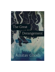 The Great Derangement - 9780226526812