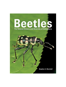 Beetles - 9780228100690