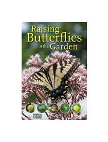 Raising Butterflies in the Garden - 9780228102250