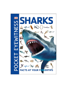 Pocket Eyewitness Sharks - 11027 - 9780241343616