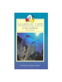 Marine Life of the Caribbean - 9780333930489