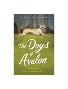 The Dogs of Avalon - 9780393073584