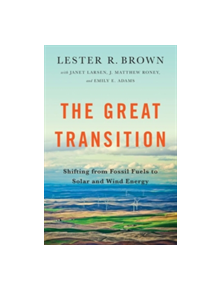 The Great Transition - 9780393350555