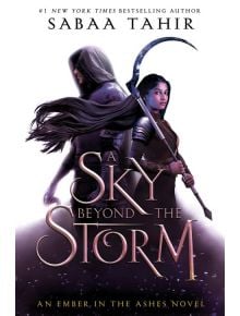 A Sky Beyond the Storm