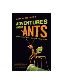 Adventures among Ants - 9780520271289